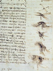 Diagrammi scientifici, dal Codice Leicester, 1508-12 (dettaglio)